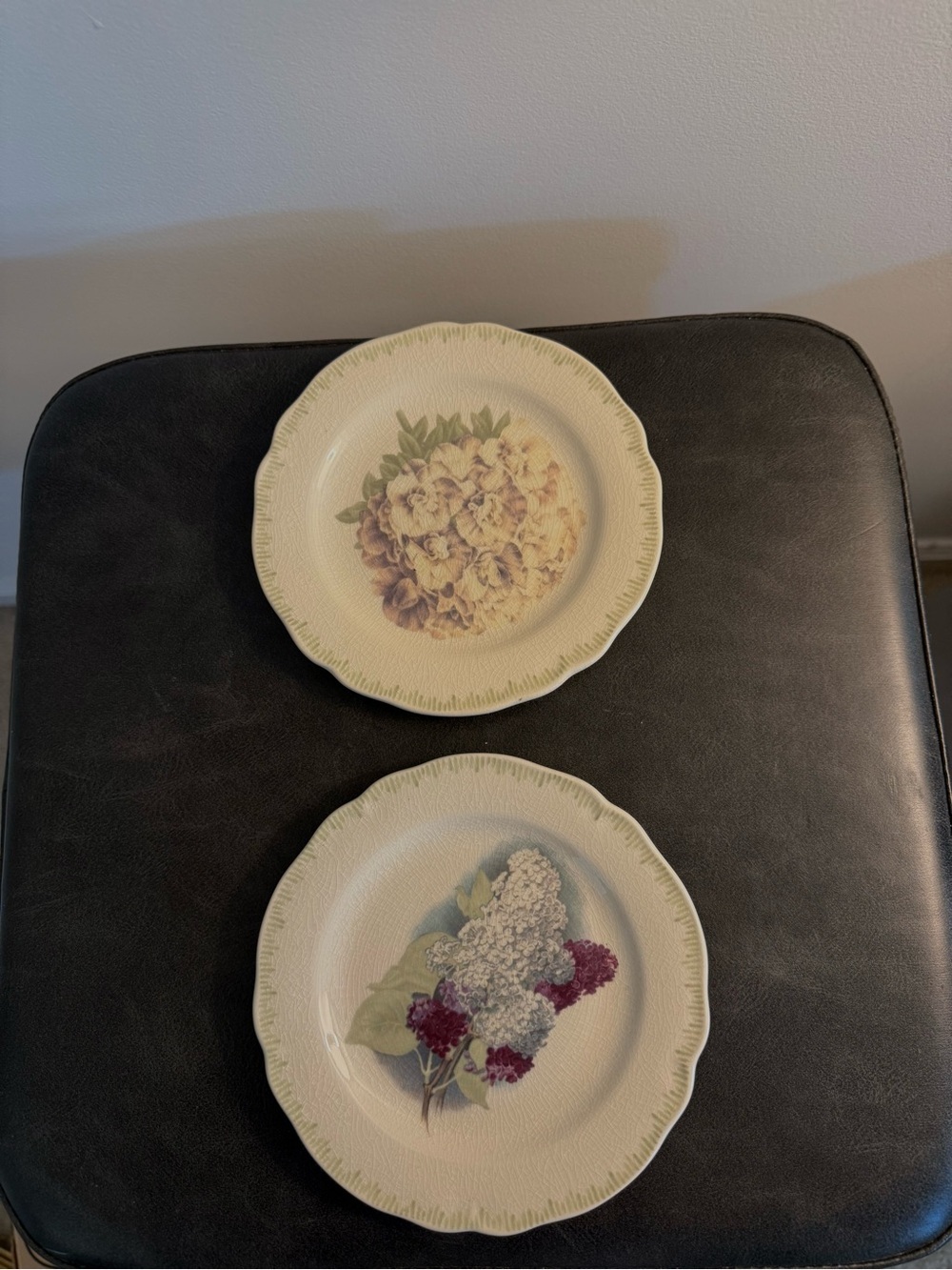 Set of 2 Floral Ceramic Dinner Plates in Cream with Green Rim Accent 6”
